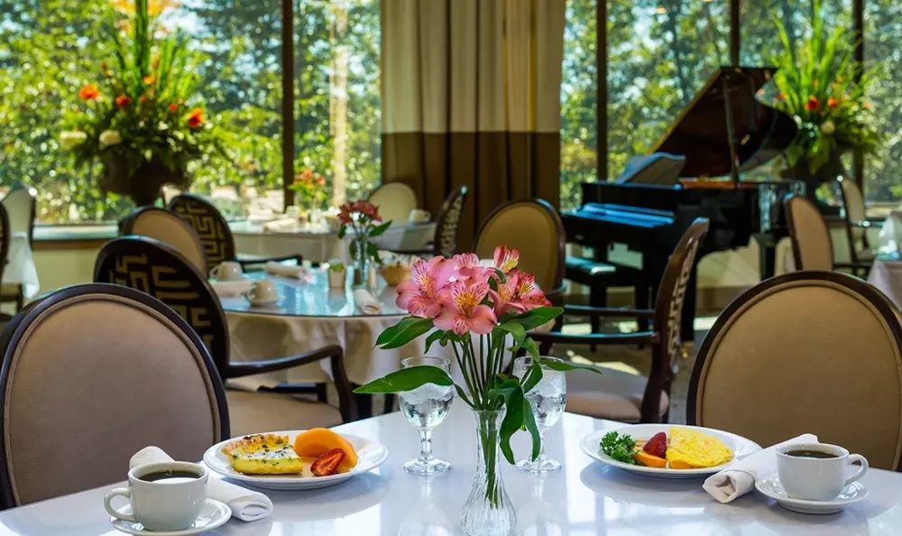 An elegant dining setup with flowers and breakfast dishes by a window with a scenic view.