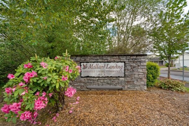 Entrance sign surrounded by lush greenery and blooming flowers.