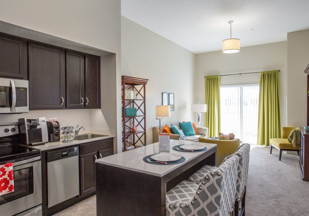 A modern apartment interior featuring a kitchen with a countertop adjoining a cozy living room.