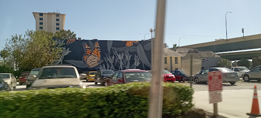 A vibrant mural on a building, surrounded by parked cars in an urban setting.