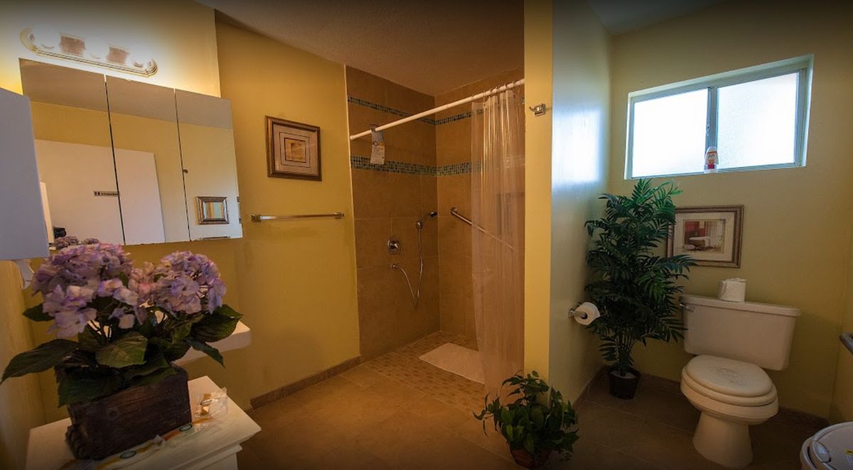 A cozy bathroom with a walk-in shower and decorative plants.