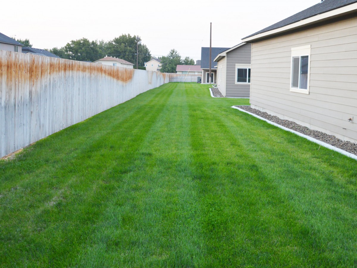 A neatly mowed lawn stretching alongside a house, bordered by a fence.