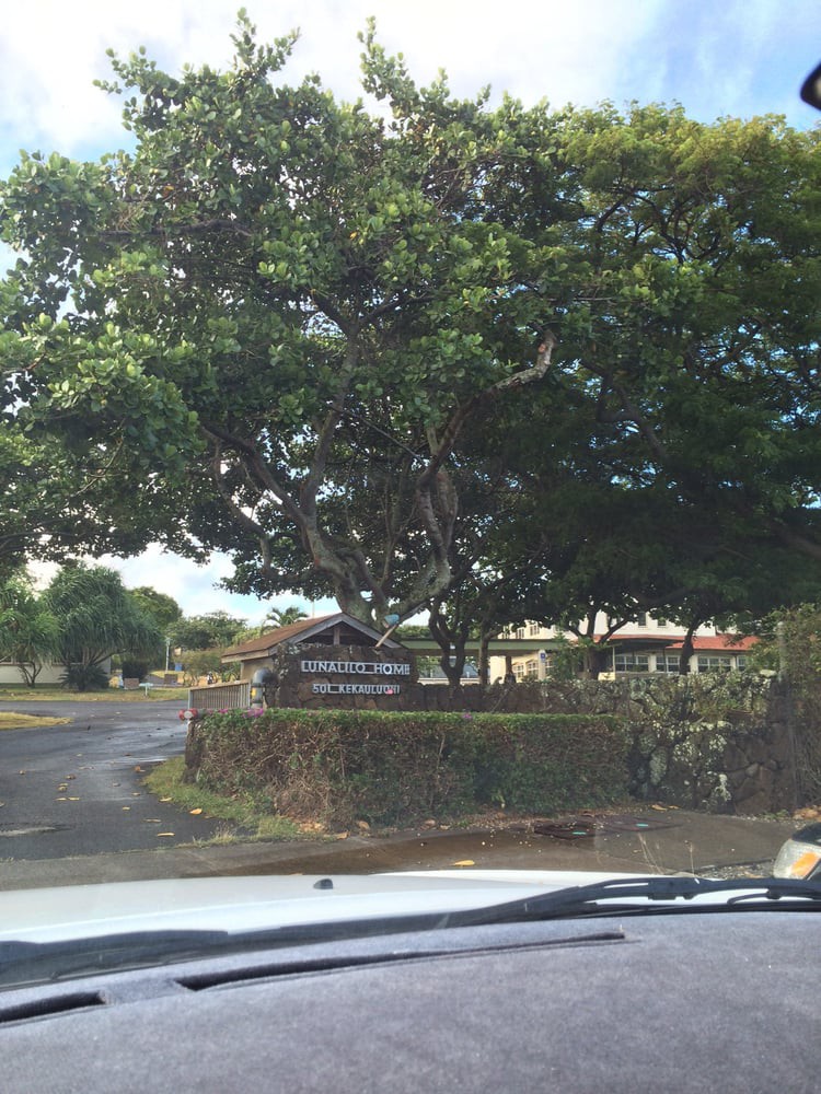 A view of a tree-lined entrance with a sign, seen from a vehicle.