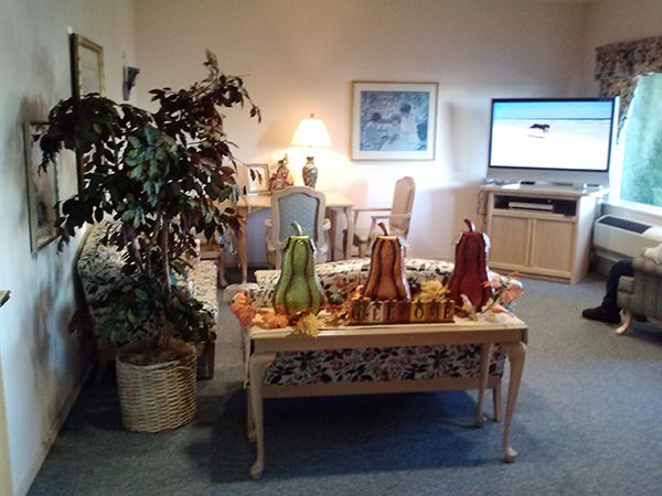 A cozy living room featuring a coffee table with colorful decor, a large potted plant, and a television.