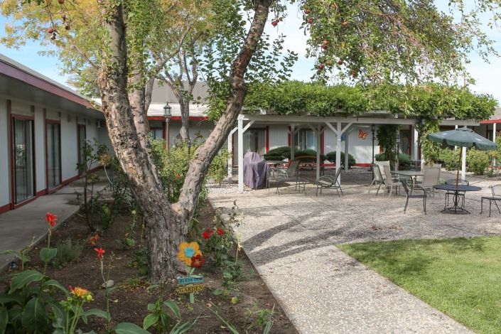 A serene backyard garden with a tree-lined pathway leading to an outdoor seating area under a pergola.