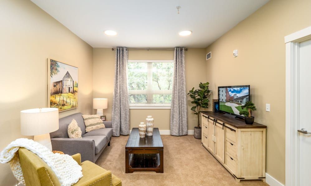 A cozy and well-decorated living room with a comfortable sofa, television, and stylish decor.