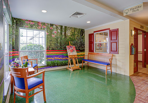 A cozy waiting area featuring a vibrant nature mural, comfortable benches, and a bright green floor.