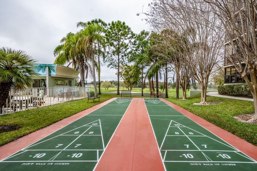An outdoor shuffleboard court surrounded by palm trees and greenery.