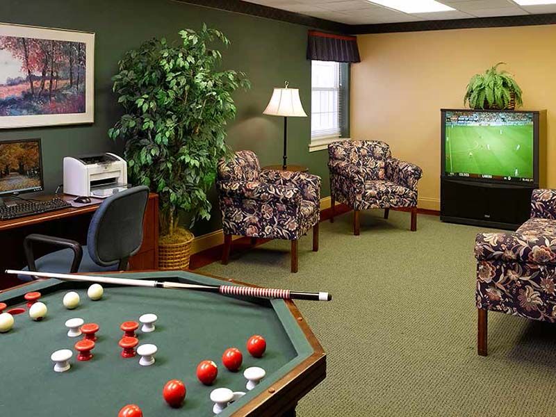 A cozy game room featuring a pool table, comfortable chairs, a television, and an indoor plant.