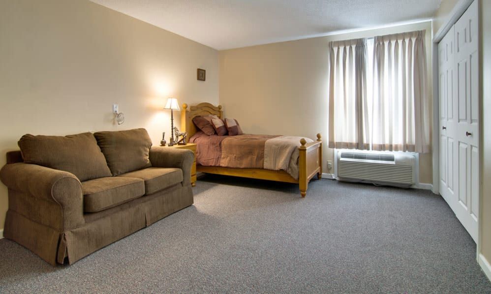 A hospital room with a bed, sofa, and natural lighting from the window.