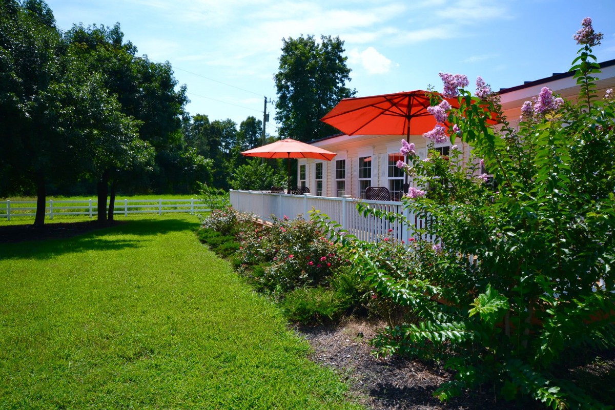 A sunny day in a garden with a house featuring a patio and orange umbrellas.