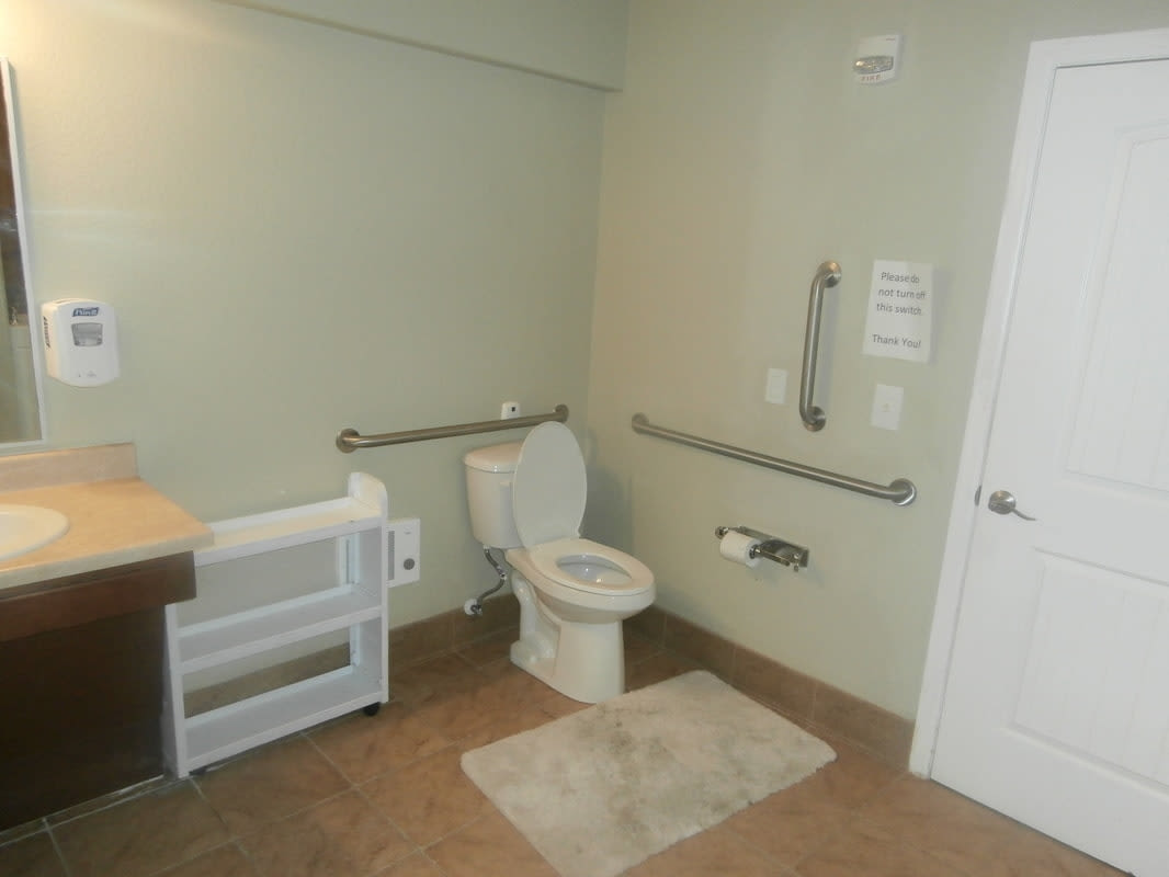 An accessible bathroom with safety grab bars, a toilet, and a sink.