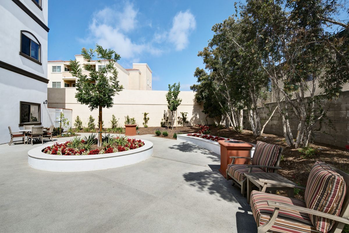 A peaceful outdoor garden area with benches and trees on a sunny day.