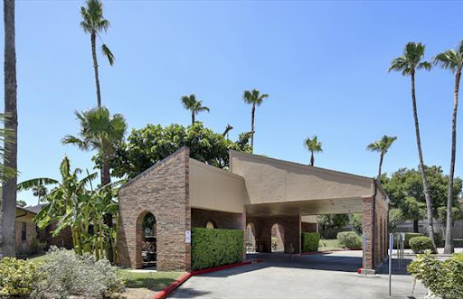 A welcoming entrance to a building surrounded by palm trees under a clear blue sky.