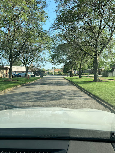 A serene residential street lined with trees on a sunny day.