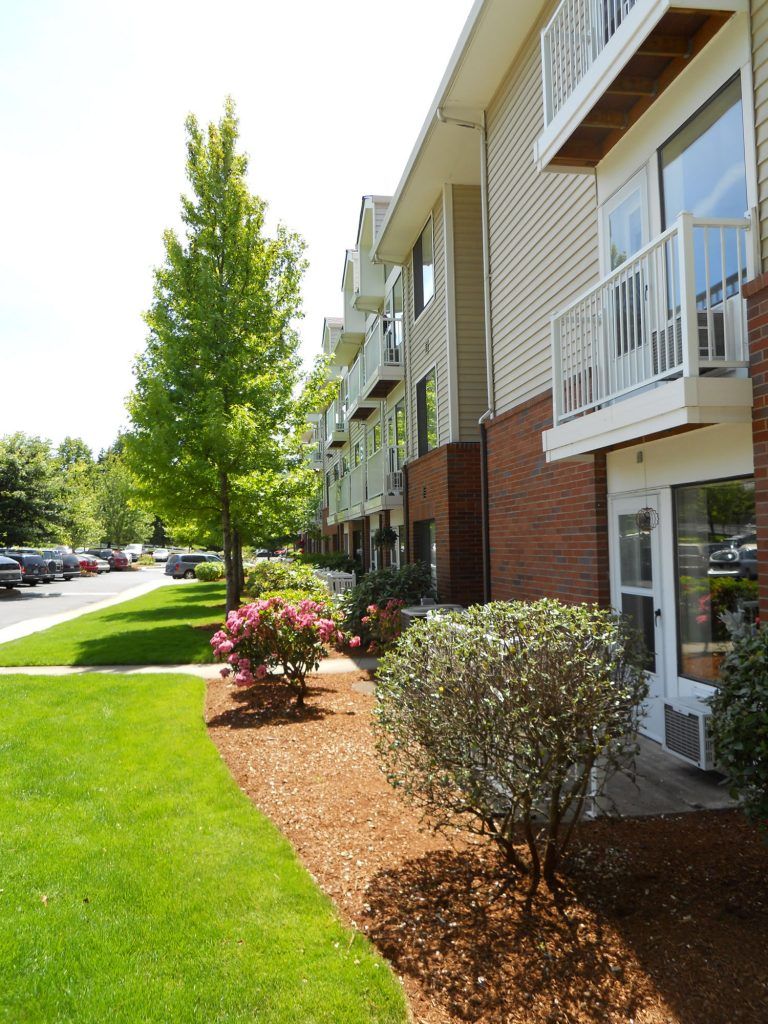 A well-maintained apartment building with lush greenery and a neatly trimmed pathway.