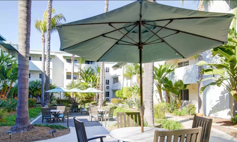 A sunny outdoor patio area with umbrellas, tables, and chairs surrounded by palm trees in an apartment complex.
