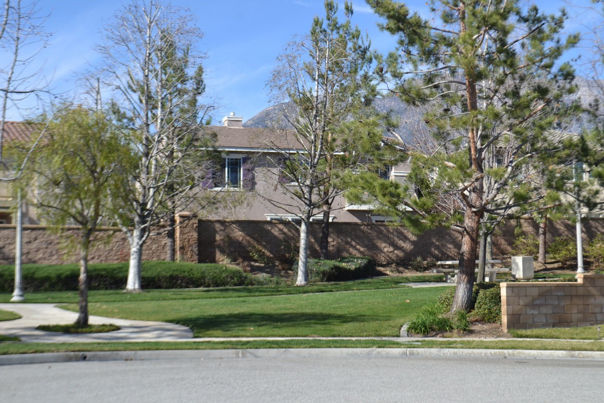 A suburban house surrounded by trees and a well-maintained lawn.