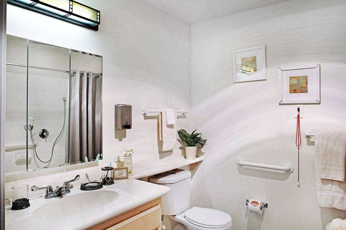 A clean and modern bathroom featuring a sink, toilet, mirror, towel rack, artwork, plant, and shower curtain.