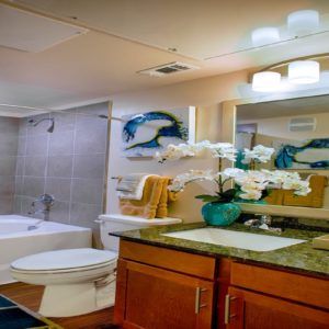 A well-lit bathroom with a sink, toilet, bathtub, and decorative elements.