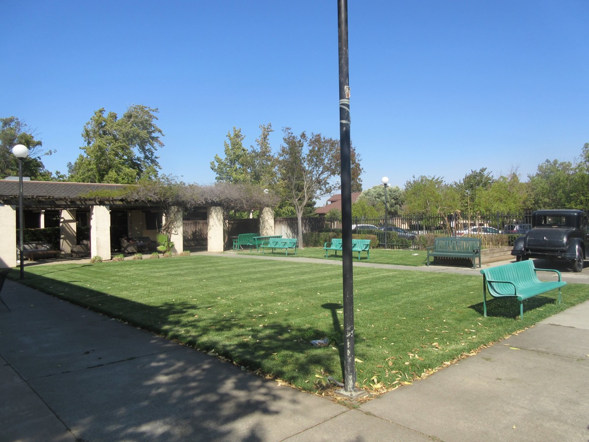 A sunny day at a park featuring a grassy area, benches, and a pavilion surrounded by trees.