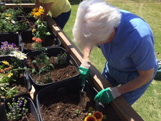 A woman is planting flowers in a garden bed under the sunlight.