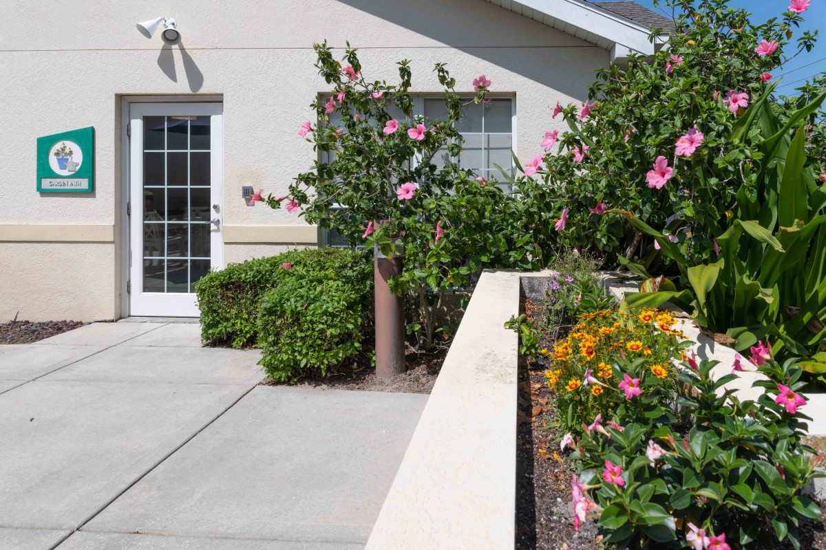 A beautifully maintained garden with various flowers and shrubs near a house patio.