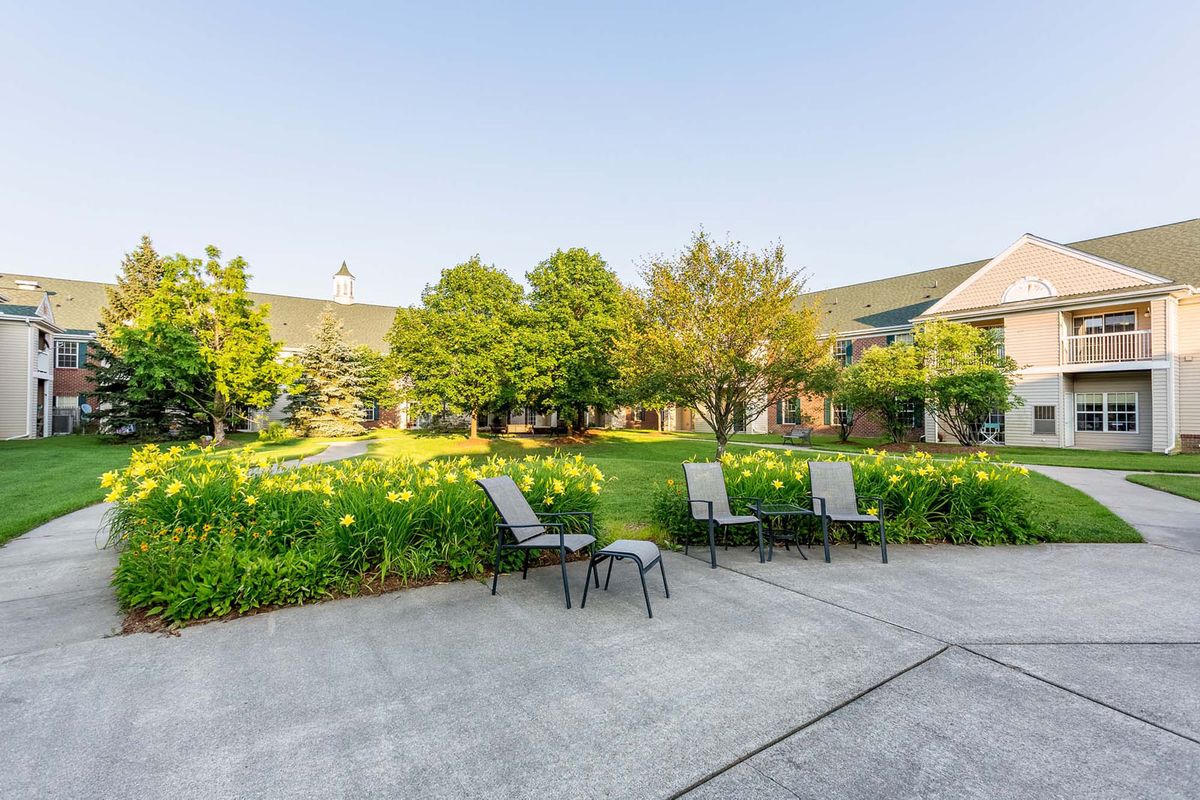 A tranquil garden with patio chairs surrounded by lush greenery.