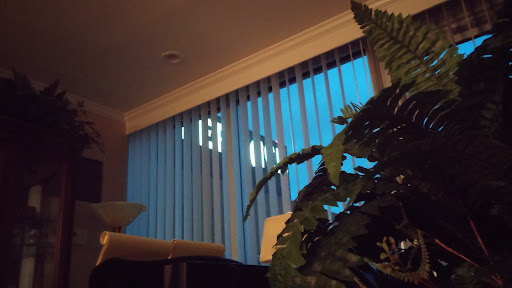 A cozy interior scene featuring vertical blinds and a plant, illuminated by the soft glow of evening light.