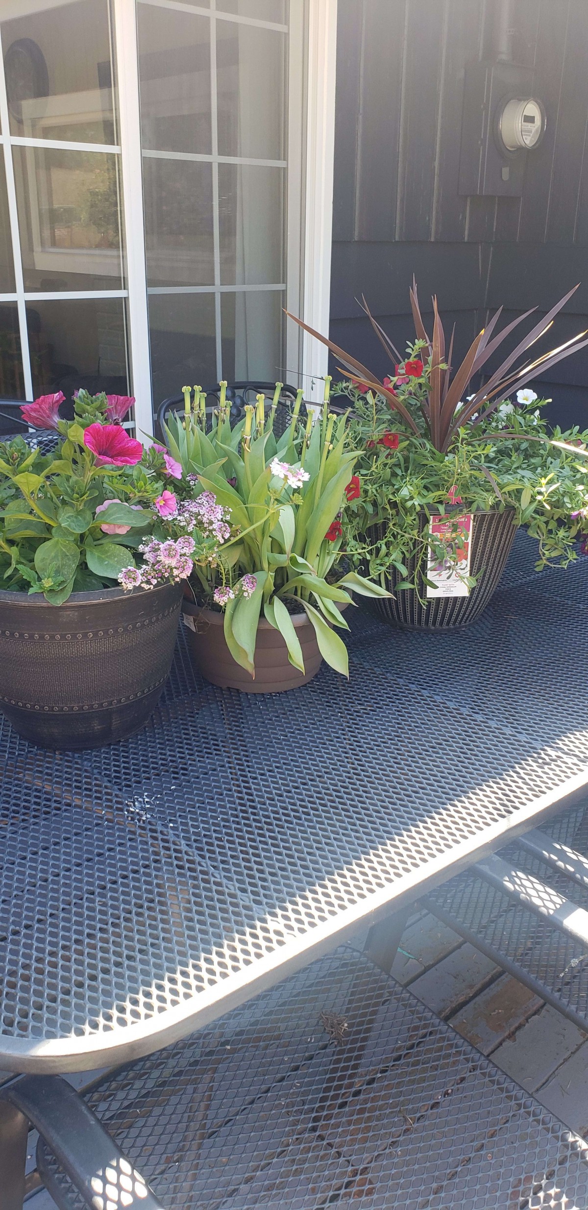 A collection of potted plants and flowers on a patio table.