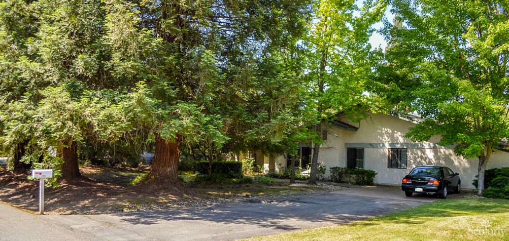 A suburban house surrounded by lush trees and a driveway.