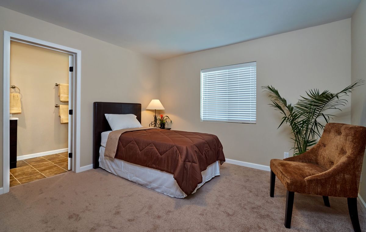 A cozy bedroom featuring a single bed with a brown comforter, a bedside lamp, and a window providing natural light.