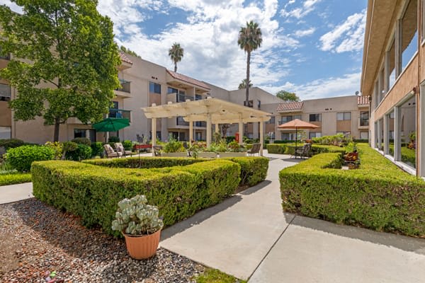 A well-maintained courtyard featuring hedges, a pergola, and palm trees, adjacent to a residential building.