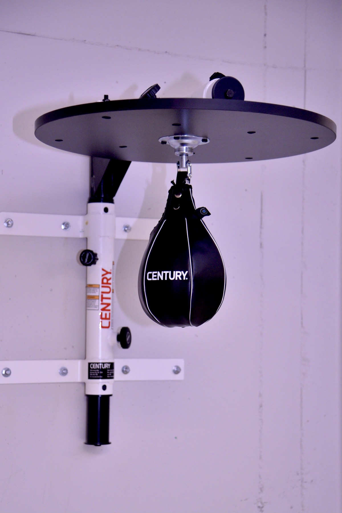 A speed bag mounted on a stand, used for boxing training.