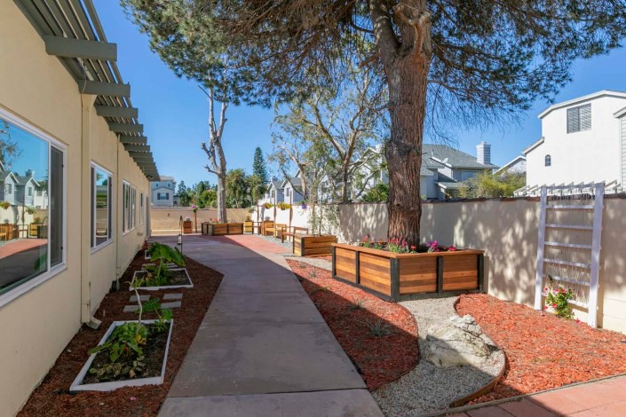 A landscaped garden pathway with planters and trees in a residential area.