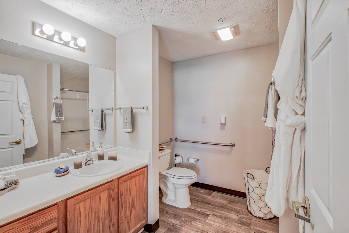 A well-lit bathroom featuring a sink with wooden cabinets, a large mirror, and an accessible toilet with grab bars.