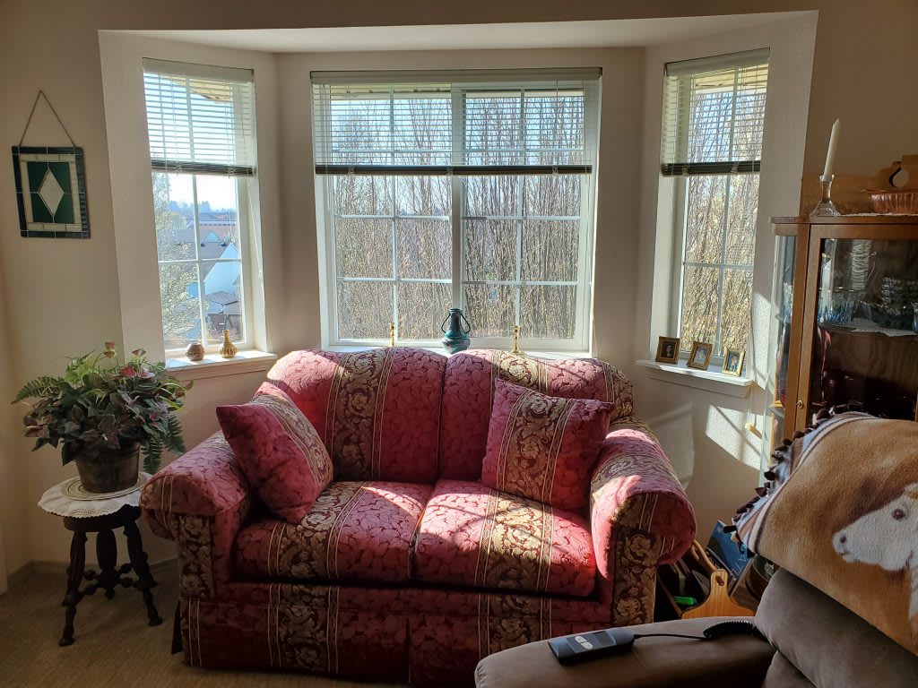 A cozy living room features a patterned sofa by a bright bay window, filled with natural light.