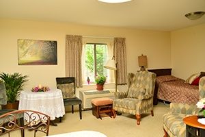 A cozy room interior with a window, various furniture including chairs, a bed, and a table adorned with a plant.