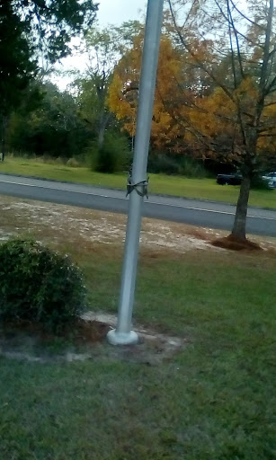 A serene outdoor scene featuring a pole and a tree with autumn foliage near a road.