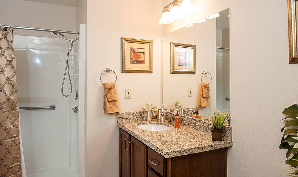 A well-appointed bathroom featuring a granite countertop, decorative towels, and wall art.