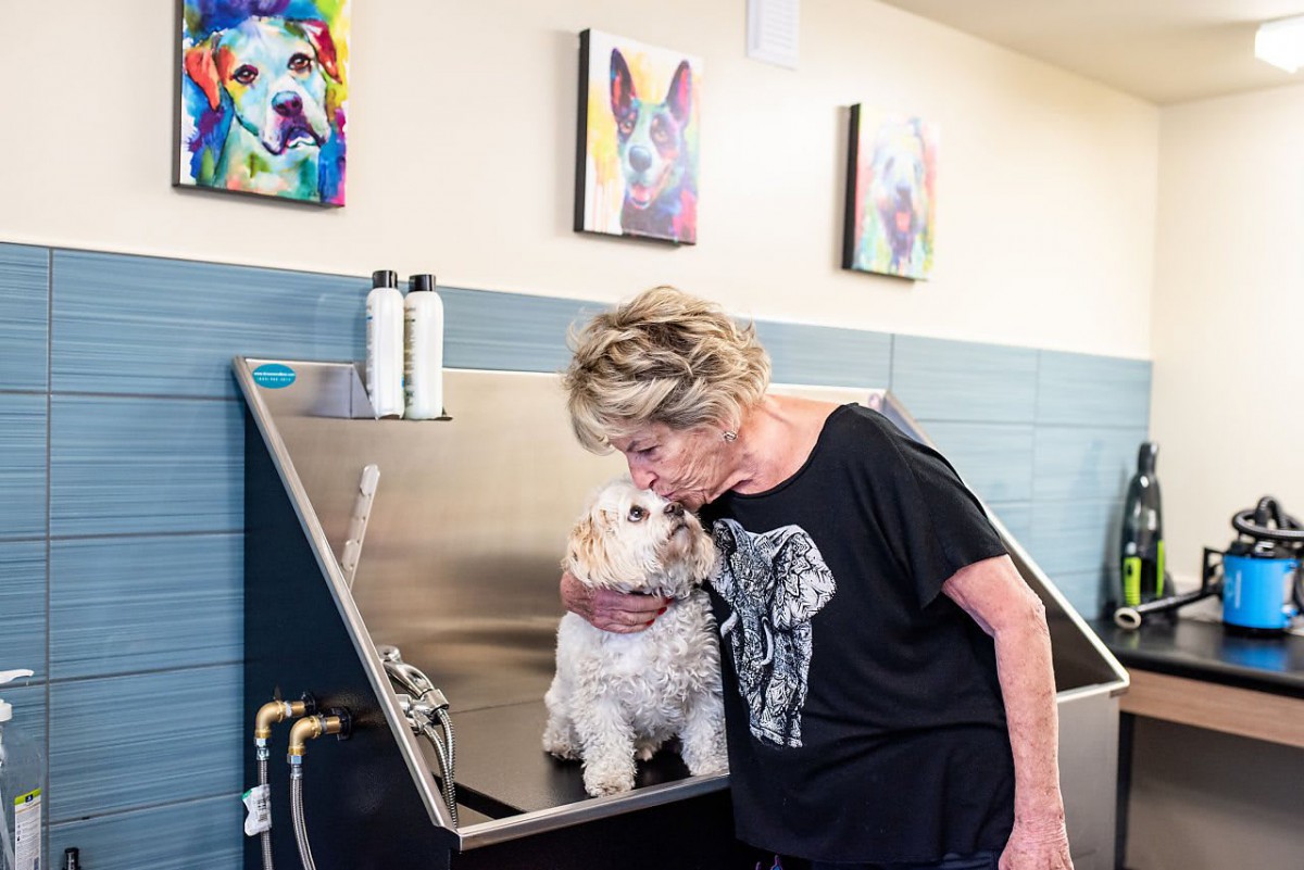 A woman shows affection to her dog during a grooming session indoors.