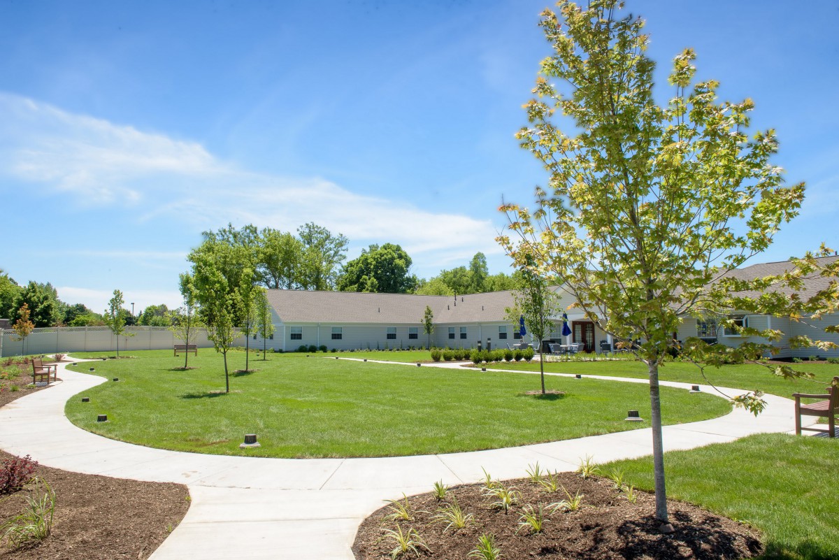 A sunny outdoor scene featuring a building surrounded by green lawn and trees, with a curved pathway leading up to it.