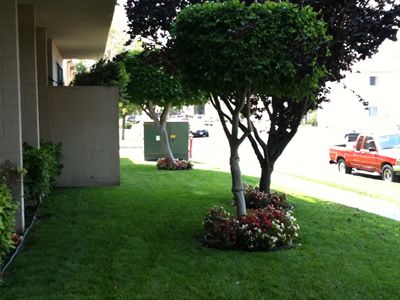 A well-maintained landscape featuring trimmed trees, lush grass, and flower beds.