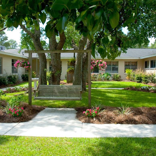 A beautifully landscaped front yard featuring a swing under a tree, surrounded by vibrant flowers and greenery.