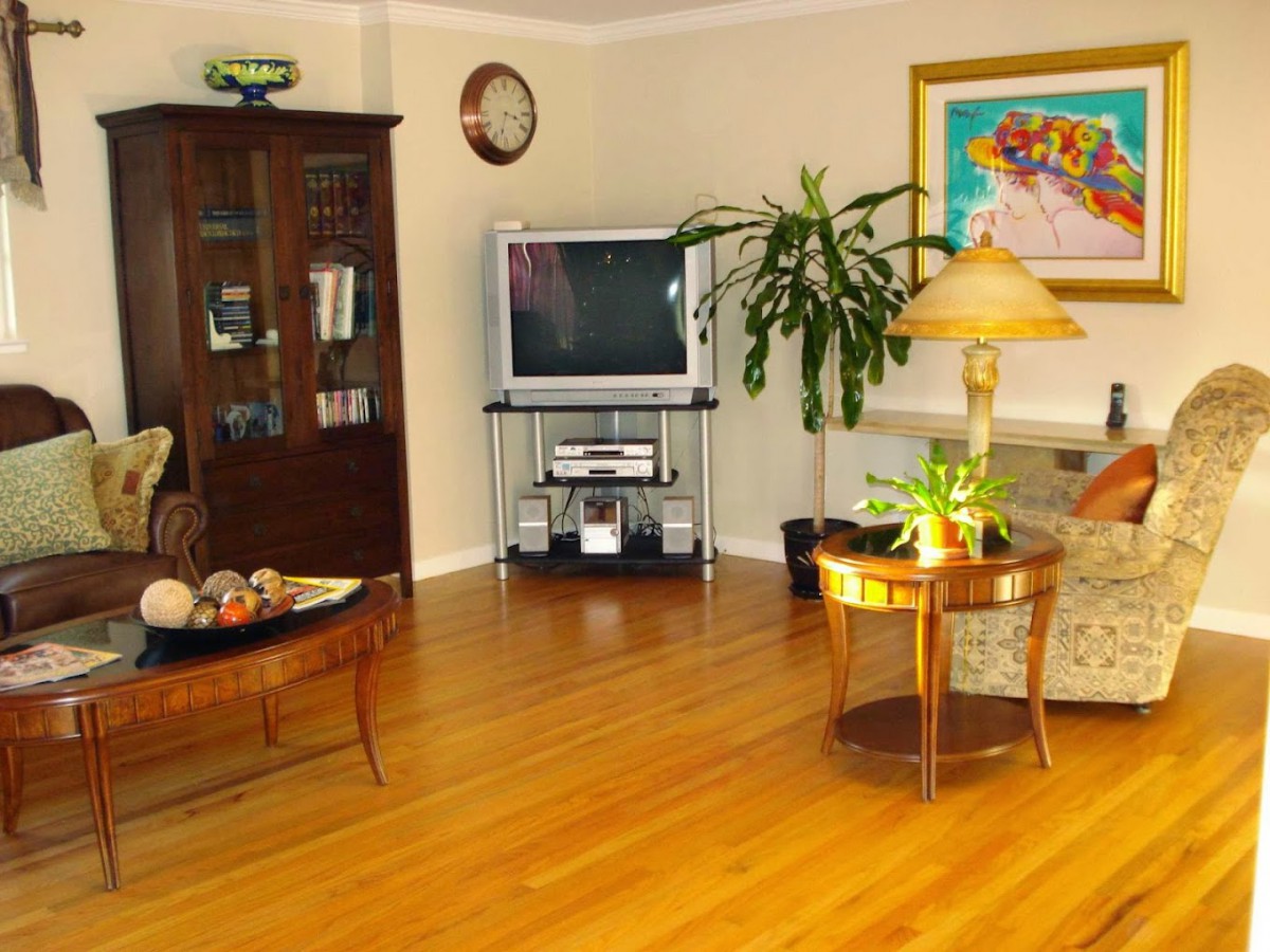 A cozy living room with hardwood floors, featuring a television, armchair, and an indoor plant.