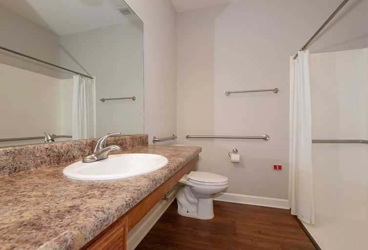 A modern bathroom with a large countertop, sink, and toilet, featuring safety grab bars and wooden flooring.