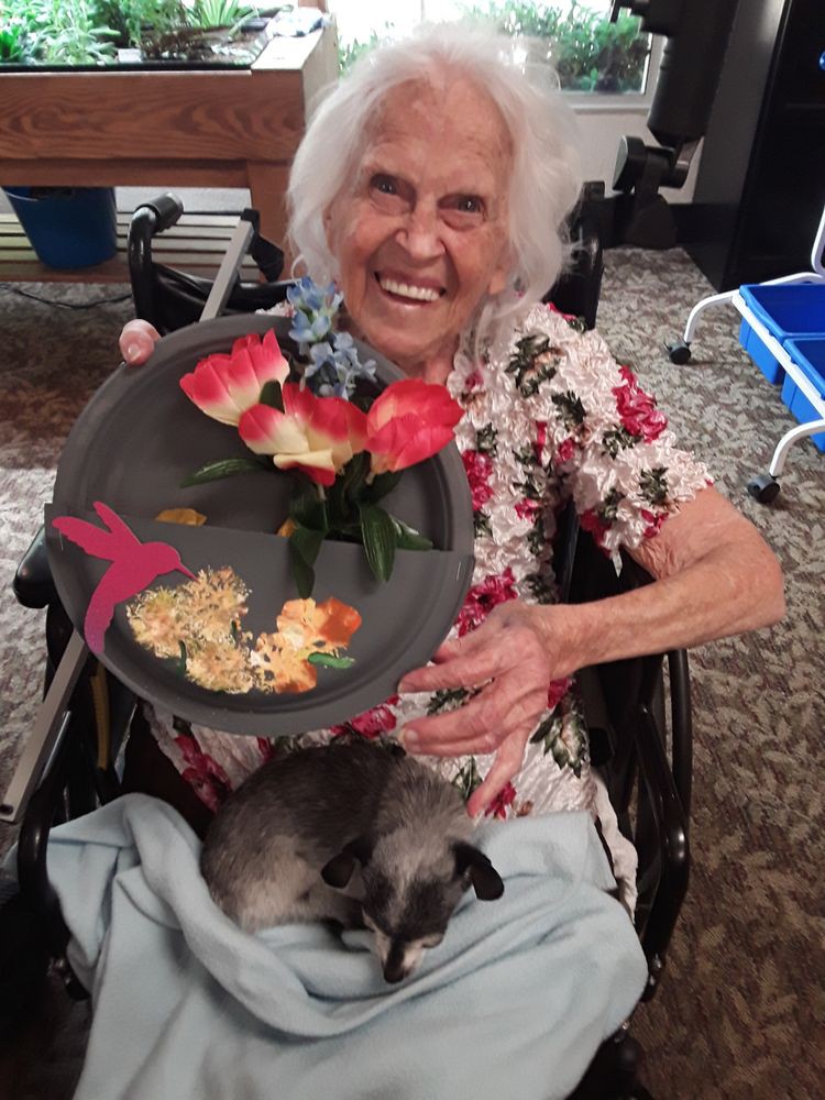 An elderly woman in a wheelchair holds a plate of flowers and snacks, with a small dog on her lap.
