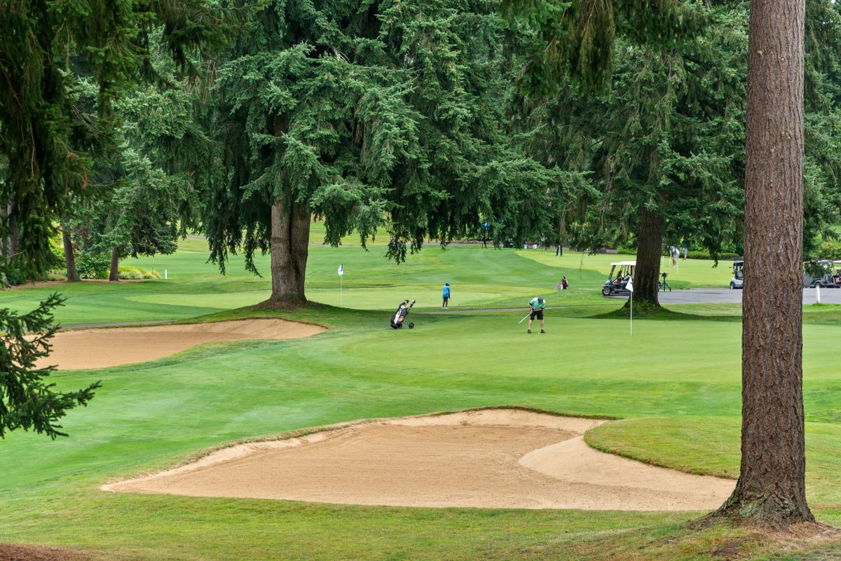 Golfers playing on a lush green golf course with trees and a sand trap.
