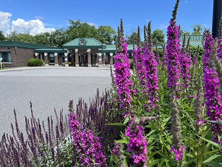 Bishop Wicke Health