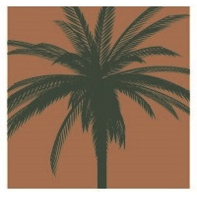 Palm Garden Of Jacksonville